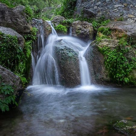 Babutaal Resort Чакрата Экстерьер фото
