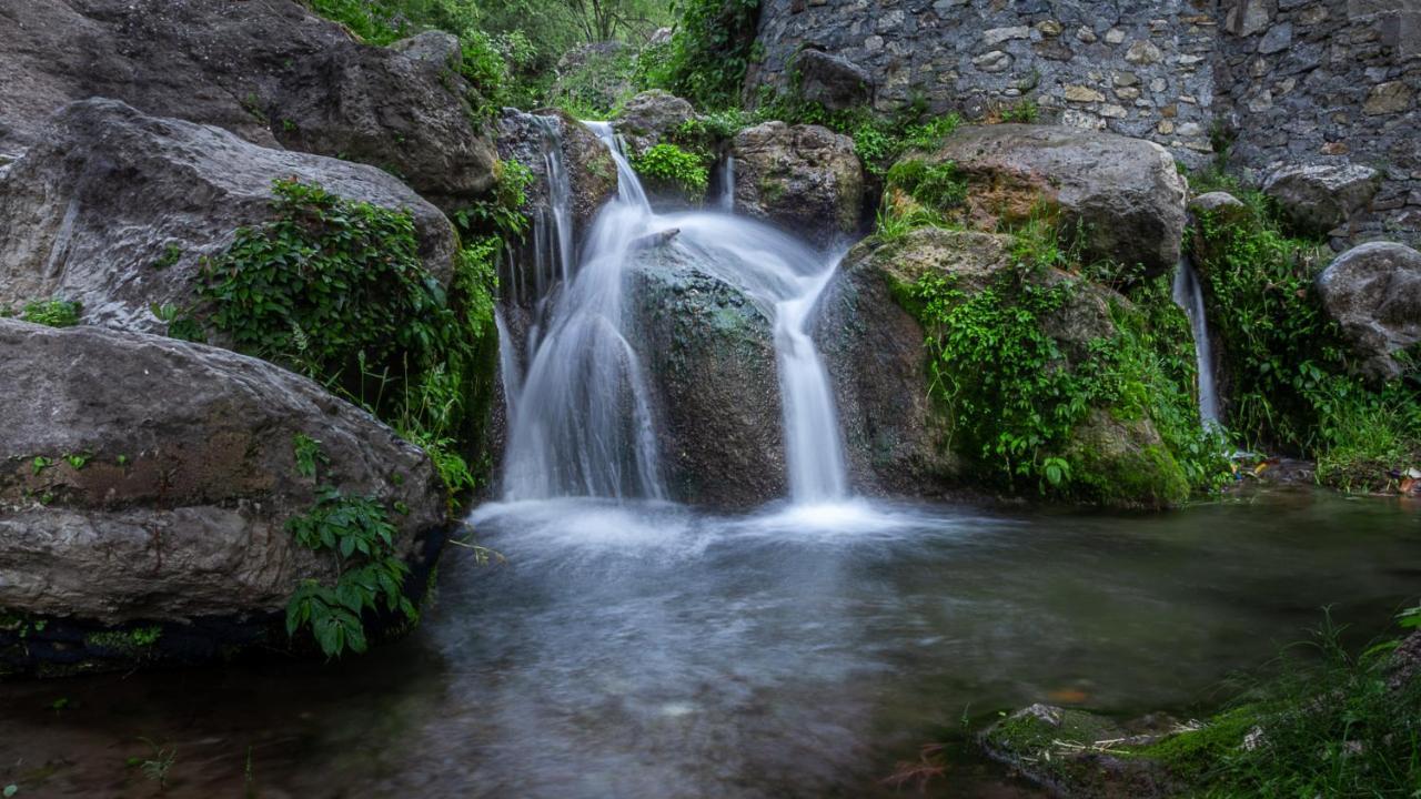 Babutaal Resort Чакрата Экстерьер фото