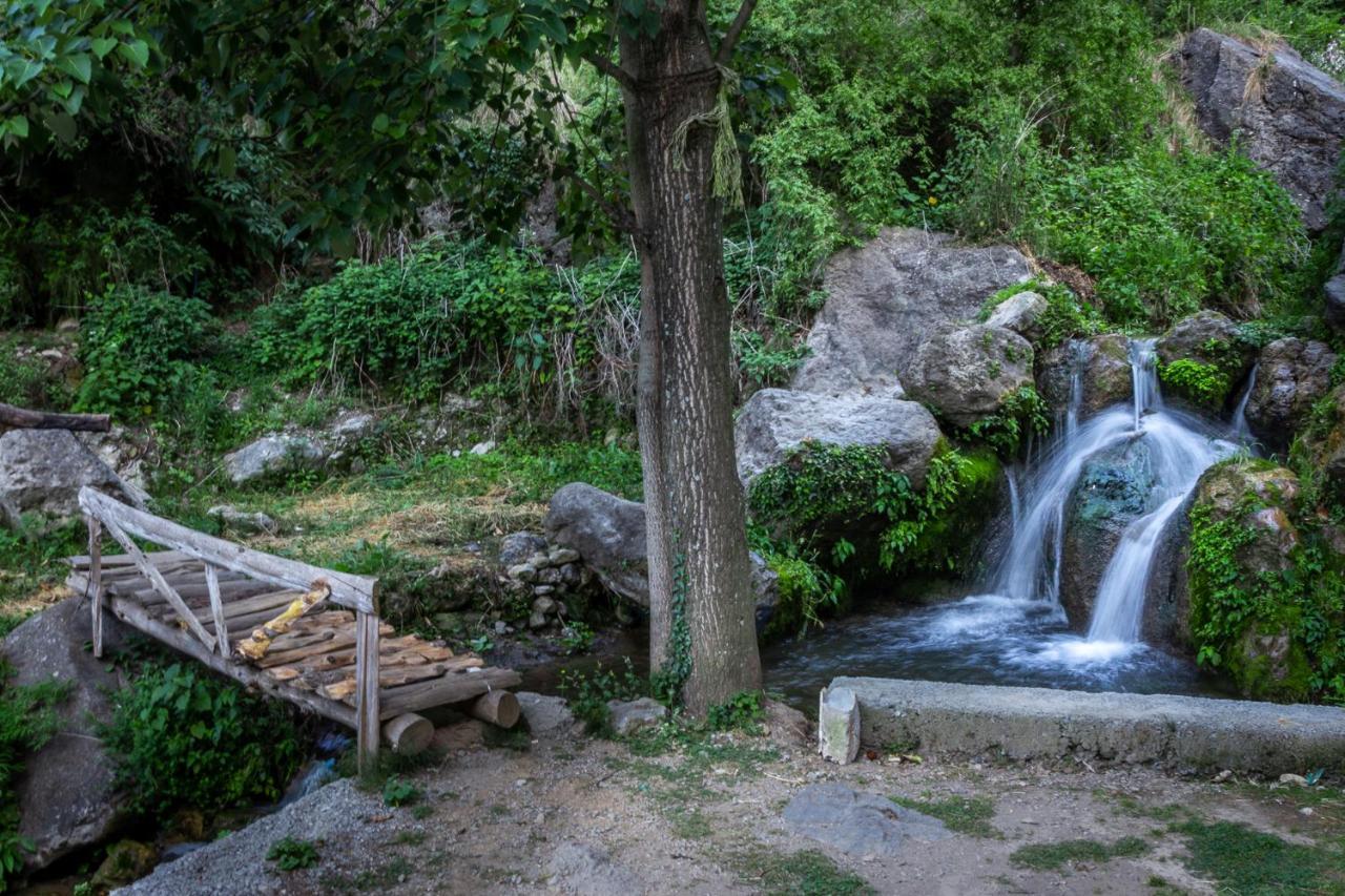Babutaal Resort Чакрата Экстерьер фото